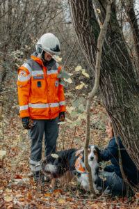 DRK Rettungshundestaffel in Aktion (Foto Schöb)